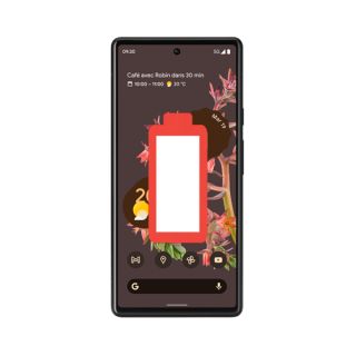 Remplacement Batterie Google Pixel 6A