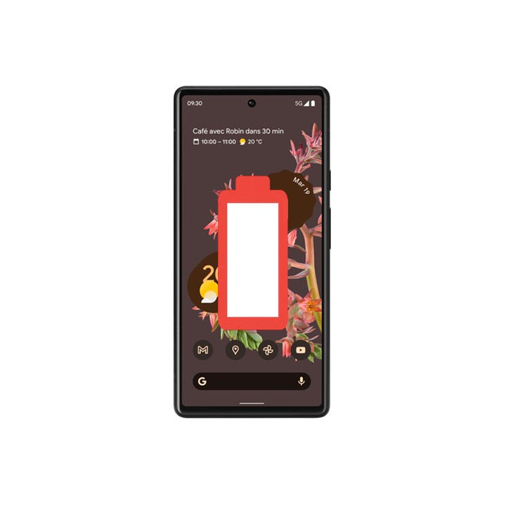 Remplacement Batterie Google Pixel 6A