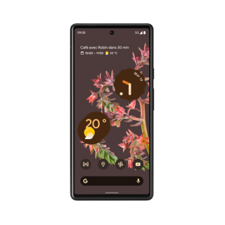 Remplacement Ecran Google Pixel 6A