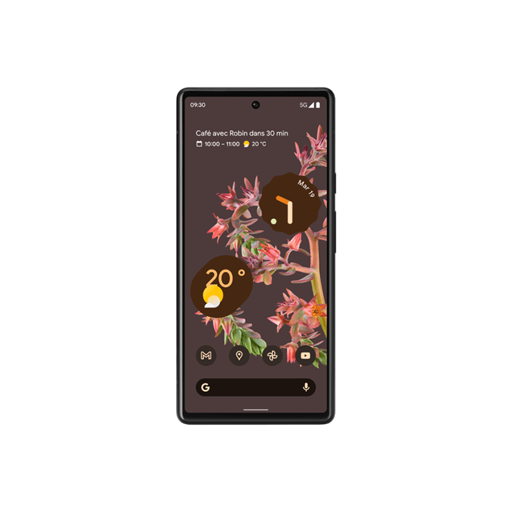 Remplacement Ecran Google Pixel 6A