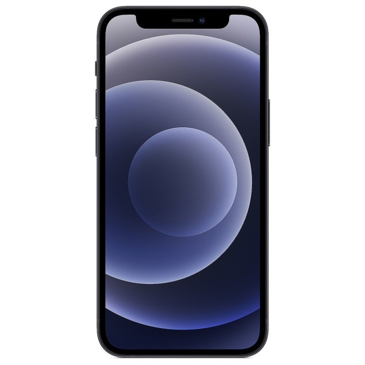 Apple iPhone 12 mini 128 Go Noir Reconditionné