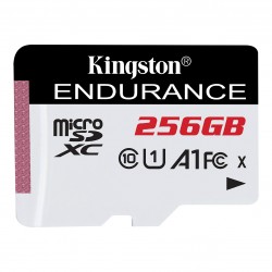 KINGSTON Endurance Carte...